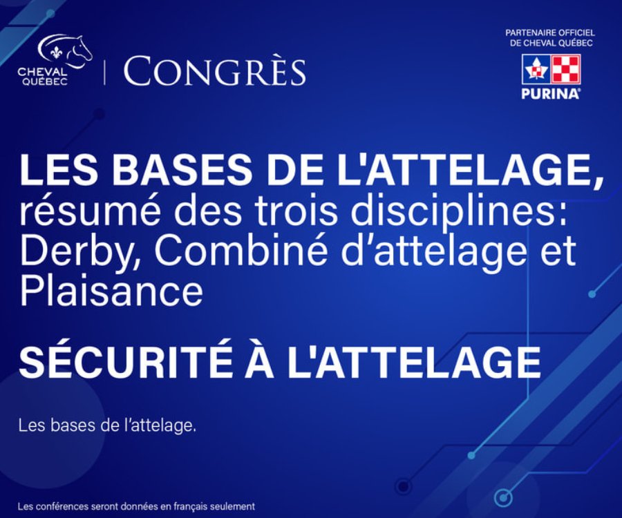 Les bases de l'attelage